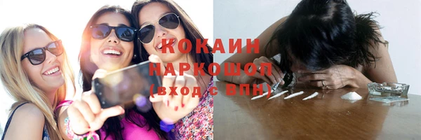 прущие грибы Верея