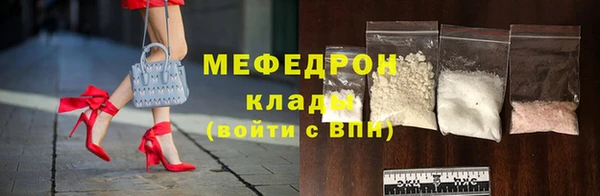 прущие грибы Верея