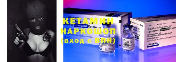 прущие грибы Верея