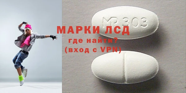 прущие грибы Верея