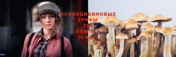ешки Верхнеуральск