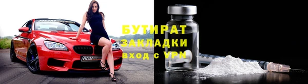 прущие грибы Верея