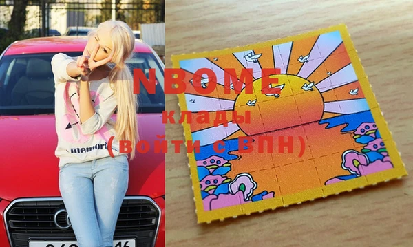 прущие грибы Верея