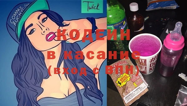 прущие грибы Верея