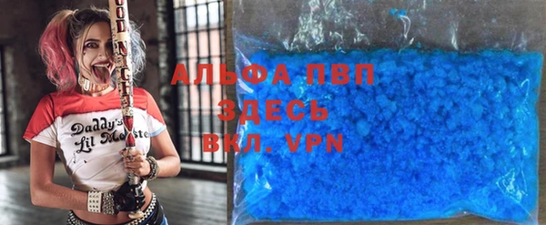 прущие грибы Верея