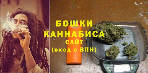 дживик Бронницы