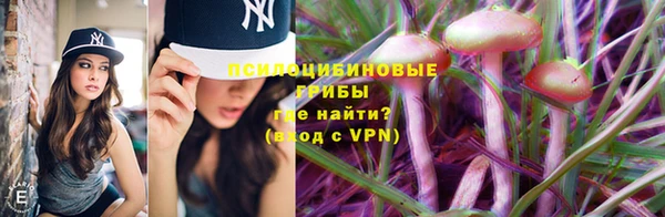 ешки Верхнеуральск