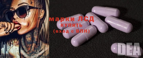 прущие грибы Верея
