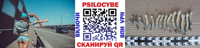 наркотики  Гудермес  Псилоцибиновые грибы ЛСД 